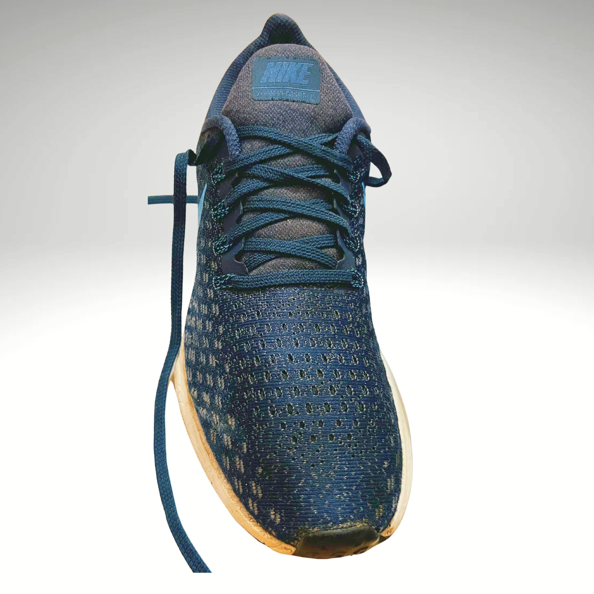 Nike Air Zoom Pegasus 35