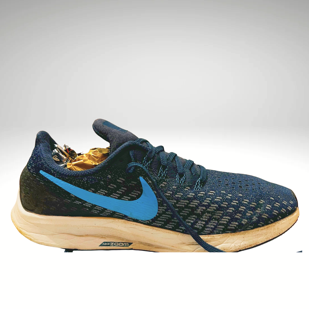 Nike Air Zoom Pegasus 35