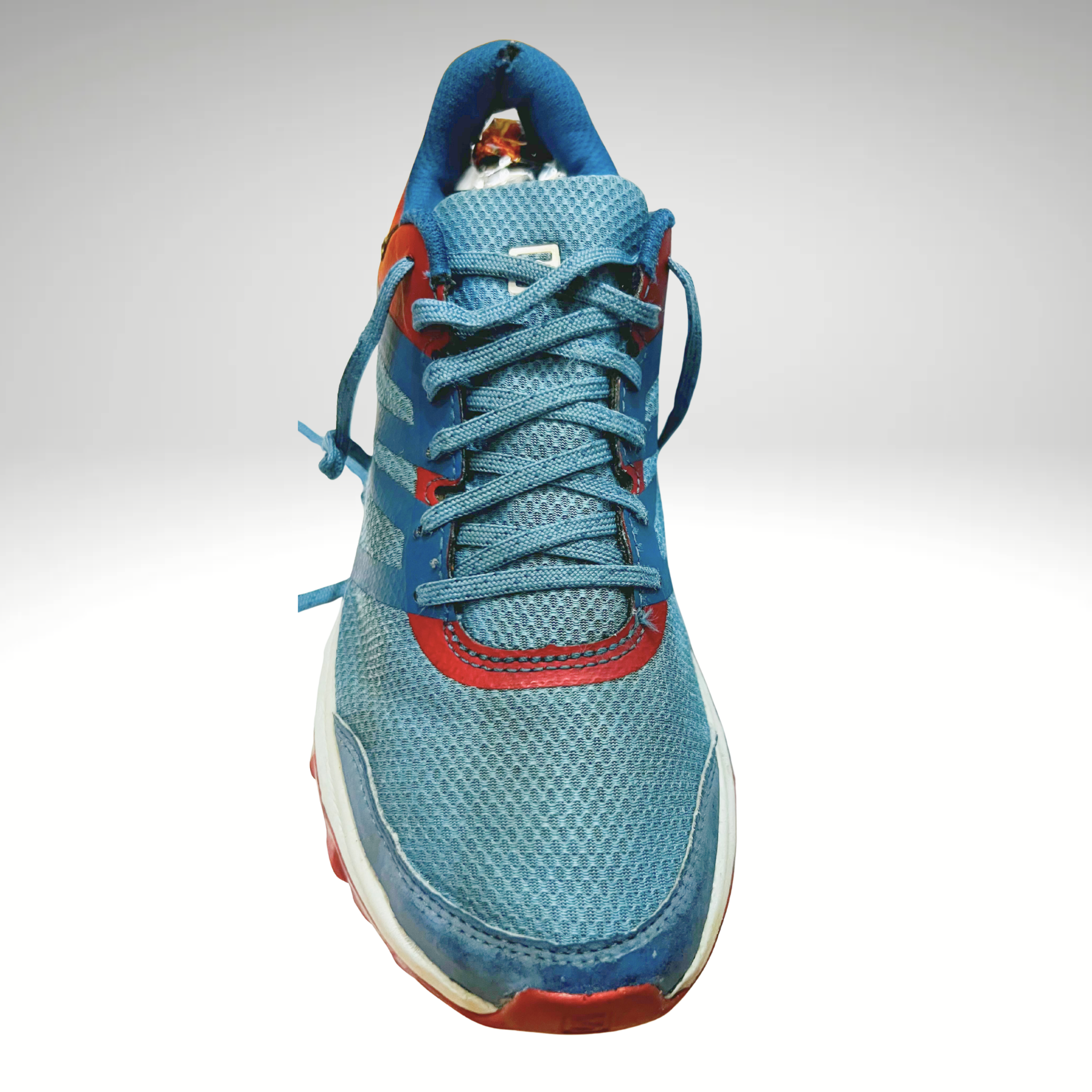 Salomon Trailster 2